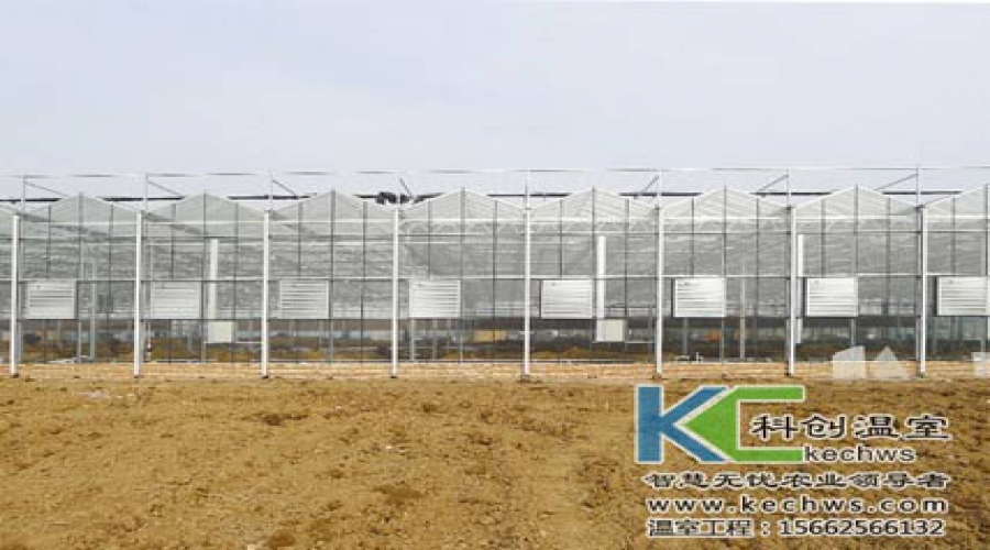 肥城智能温室大棚建设案例