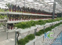 基质栽培技术