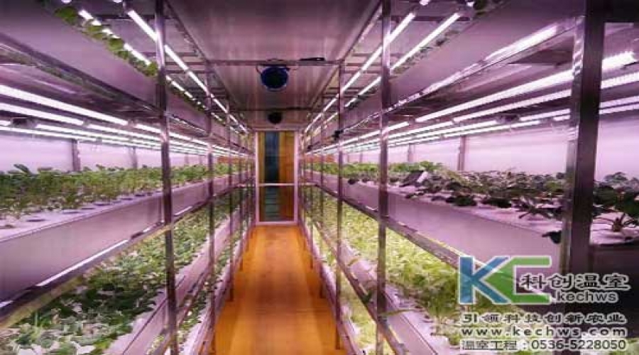 浙江人工光源植物工厂