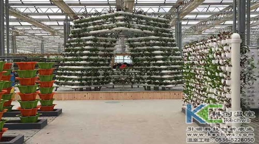 临沂案例