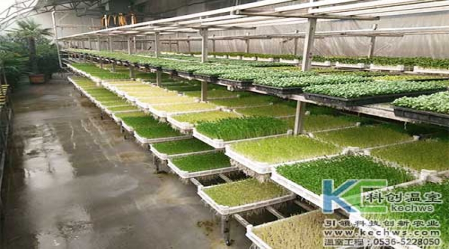山西吕梁芽苗植物工厂