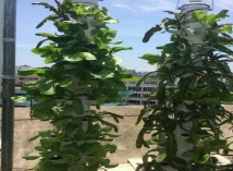 阳台立柱