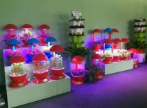 阳台精品