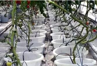 无土栽培，无土栽培技术，无土栽培设备