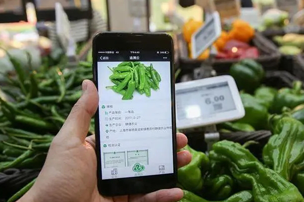 无土栽培，无土栽培技术，无土栽培设备