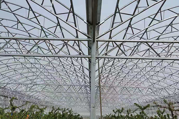 无土栽培，无土栽培技术，无土栽培设备