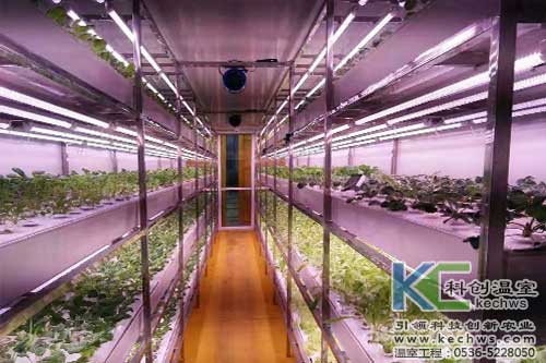 植物工厂,无土栽培