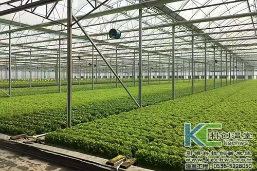 山西,植物工厂,无土栽培