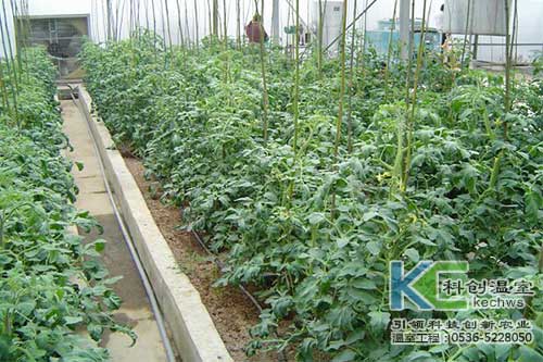 无土栽培，无土栽培技术，无土栽培设备