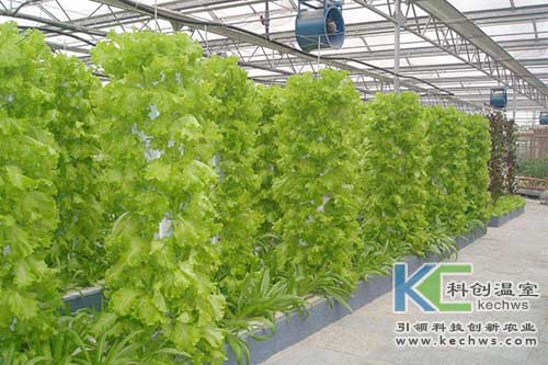 无土栽培，无土栽培技术，无土栽培设备