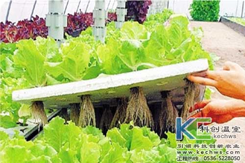 无土栽培，无土栽培技术，无土栽培设备