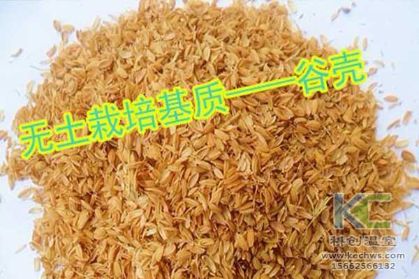 无土栽培，无土栽培技术，无土栽培设备
