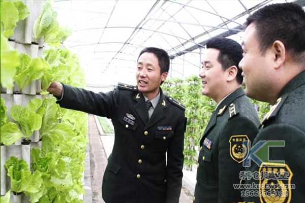无土栽培，无土栽培技术，无土栽培设备