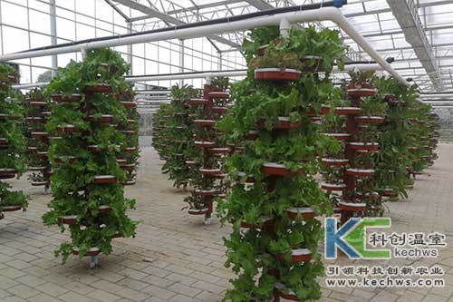 无土栽培技术,基质栽培,水培