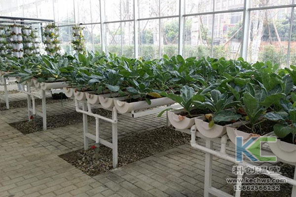 无土栽培，无土栽培技术，无土栽培设备