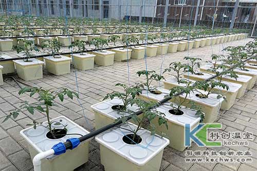 无土栽培,鱼菜共生,立体栽培