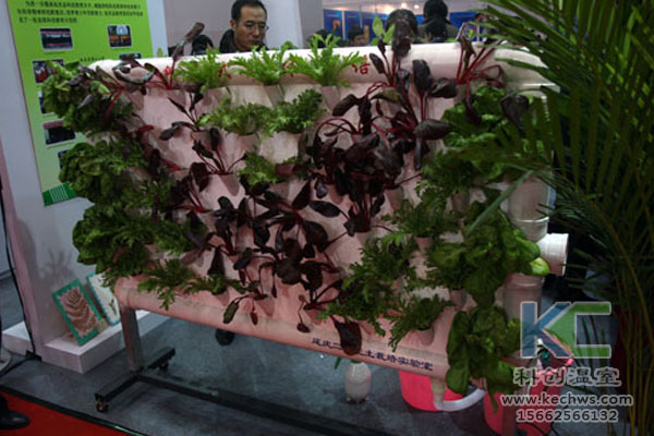 蔬菜大棚无土栽培，无土栽培技术，温室大棚，大棚