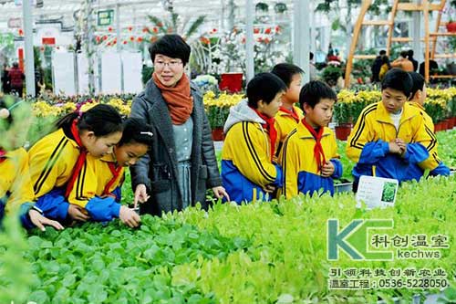 无土栽培，无土栽培技术，无土栽培设备