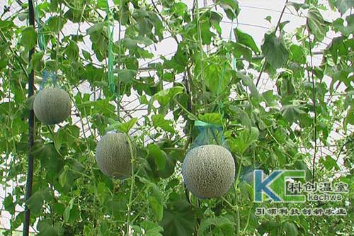 无土栽培，无土栽培技术，无土栽培设备