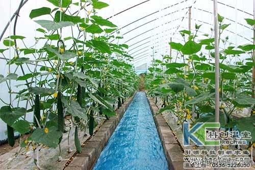 无土栽培，无土栽培技术，无土栽培设备