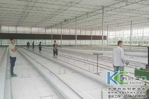 基质栽培,无土栽培