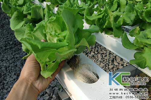无土栽培，无土栽培技术，无土栽培设备
