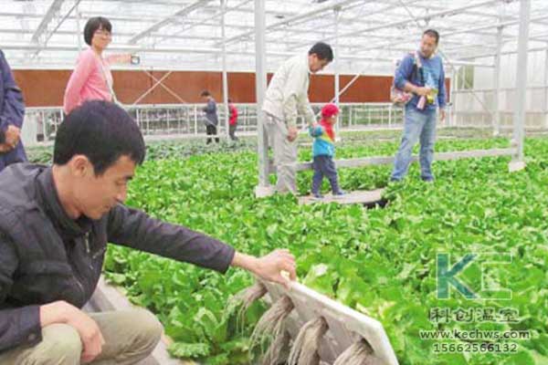 无土栽培，无土栽培技术，无土栽培设备