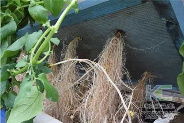 无土栽培，无土栽培技术，无土栽培设备