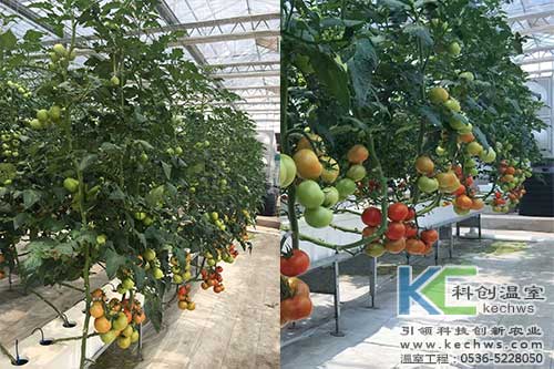 箱式无土栽培，无土栽培