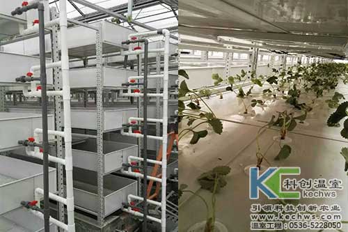植物工厂,无土栽培