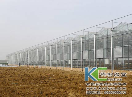 温室大棚,温室大棚建设