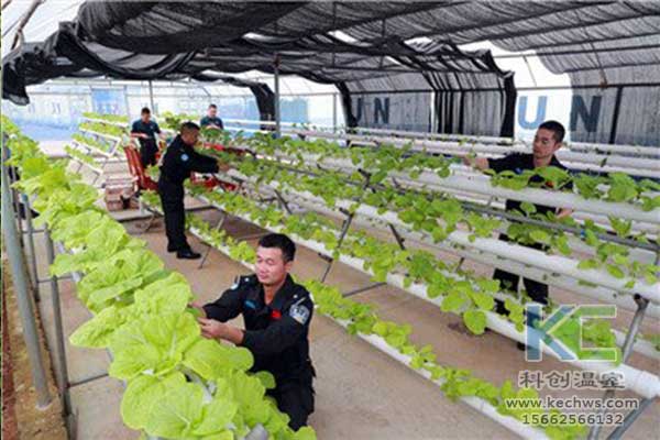 无土栽培，无土栽培技术，无土栽培设备