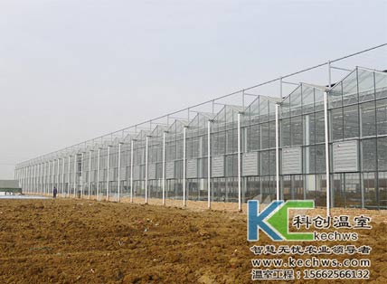温室大棚,温室大棚建设