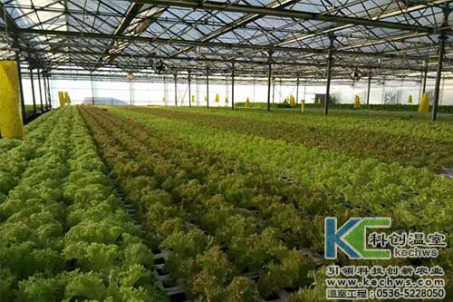 山西,植物工厂,无土栽培