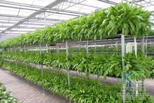 无土栽培，无土栽培技术，无土栽培设备