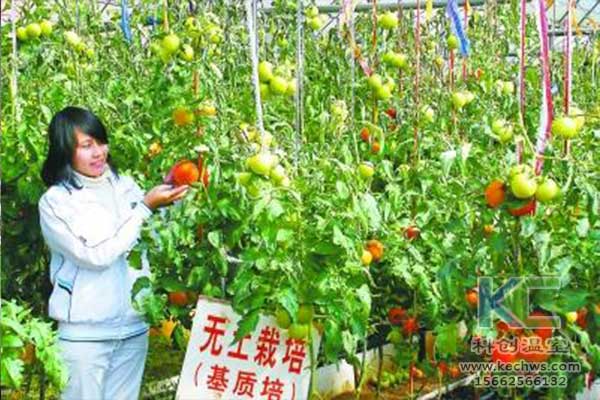 无土栽培，无土栽培技术，无土栽培设备
