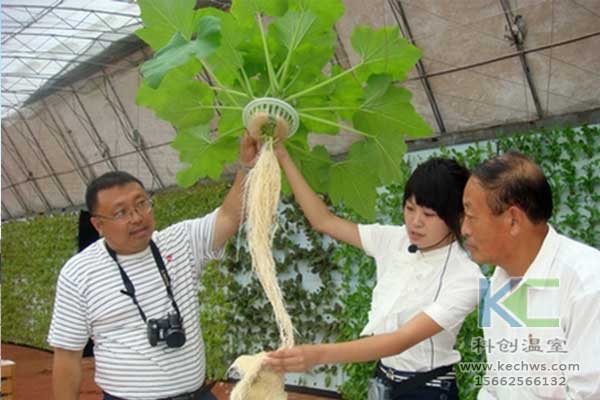 无土栽培，无土栽培技术，无土栽培设备