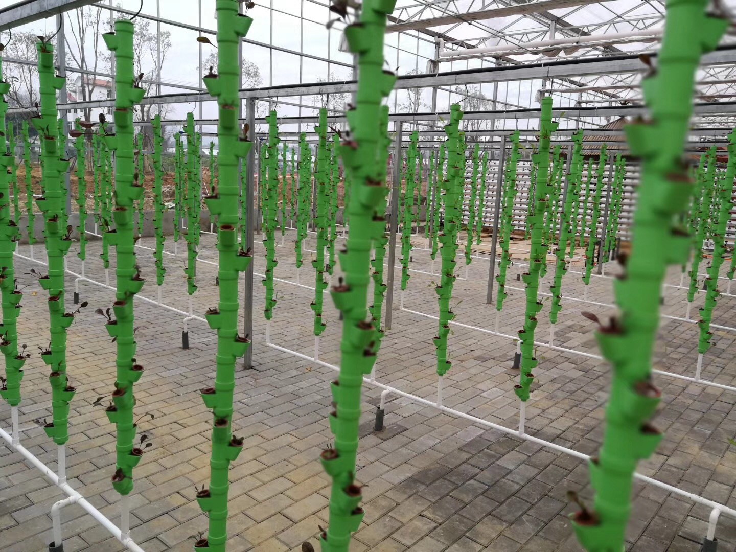 无土栽培，无土栽培技术，无土栽培设备