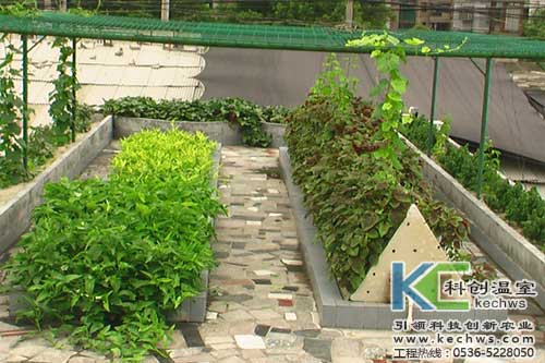 无土栽培，无土栽培技术，无土栽培设备