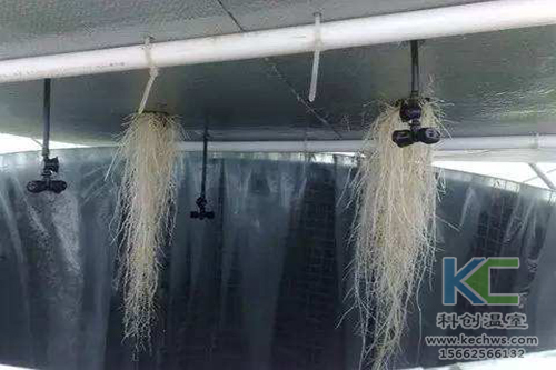 无土栽培，无土栽培技术，无土栽培设备