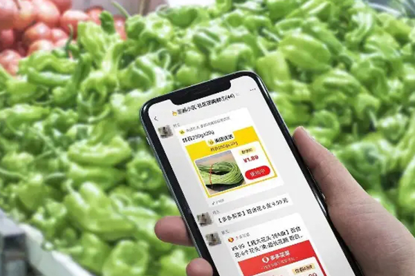 无土栽培，无土栽培技术，无土栽培设备