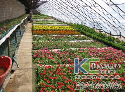山东花卉温室大棚