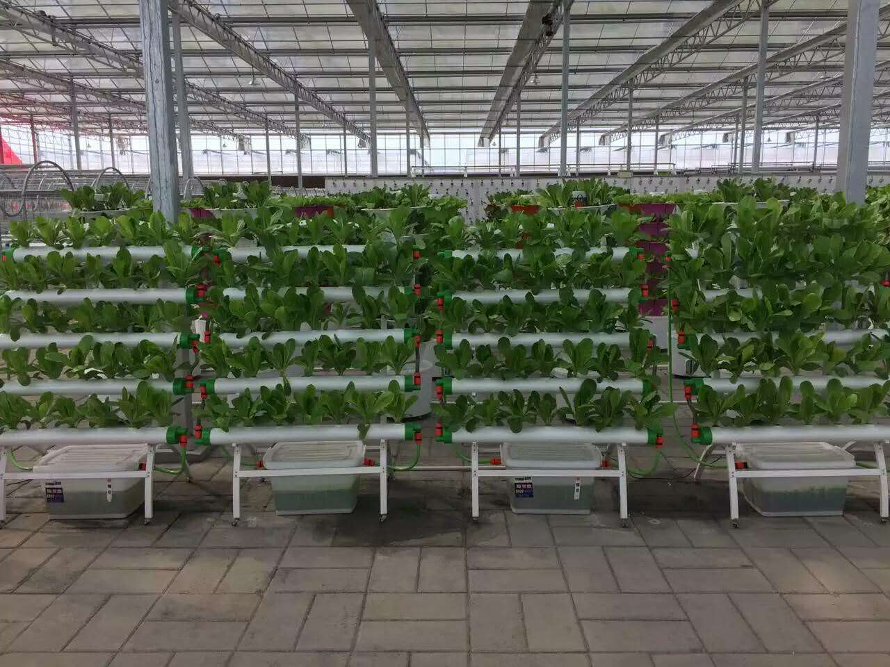 无土栽培，无土栽培技术，无土栽培设备