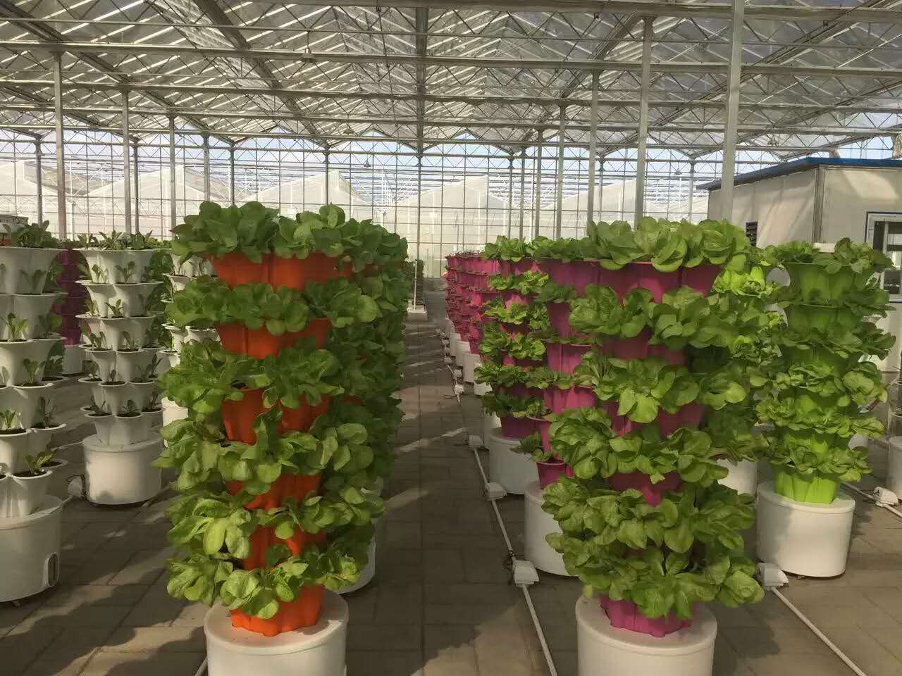 无土栽培，无土栽培技术，无土栽培设备